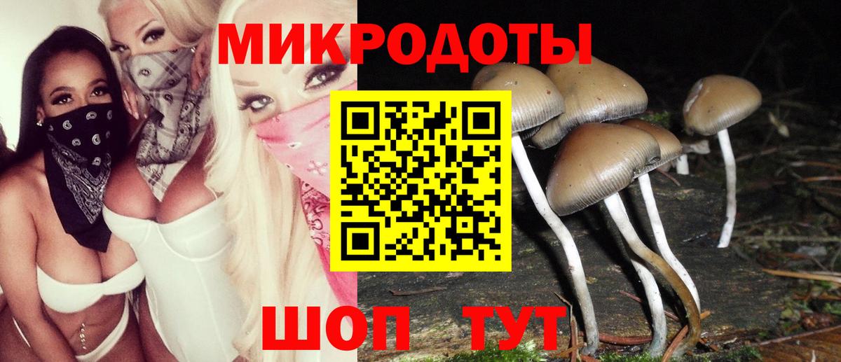 Псилоцибиновые грибы GOLDEN TEACHER  Вход с VPN  Санкт-Петербург 